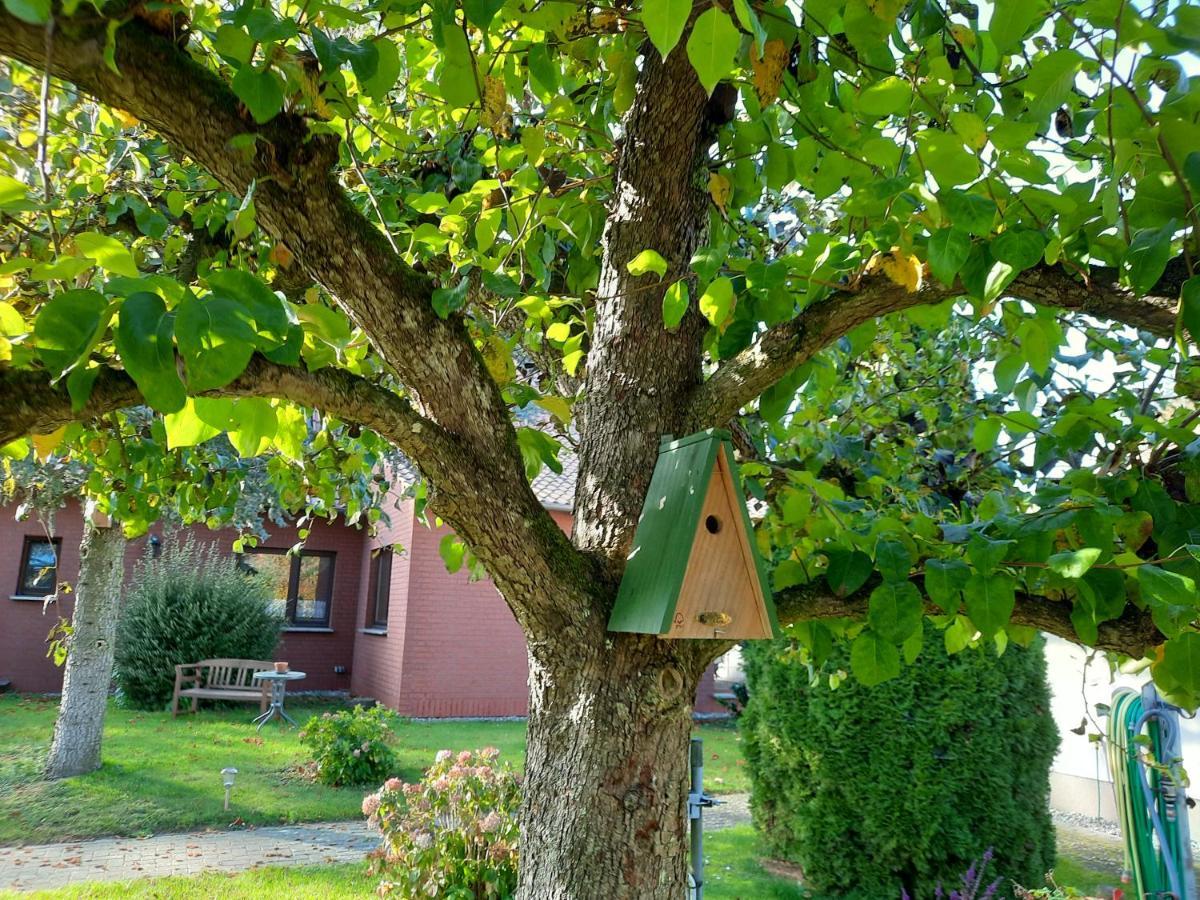 Das Kleine, Gemuetliche Ferienhaus Ludorf Luaran gambar